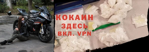 прущие грибы Богданович