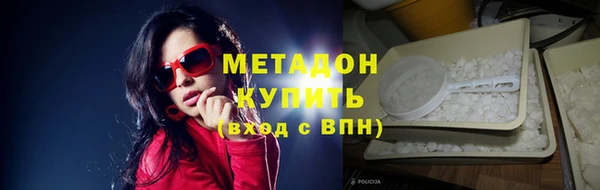 прущие грибы Богданович