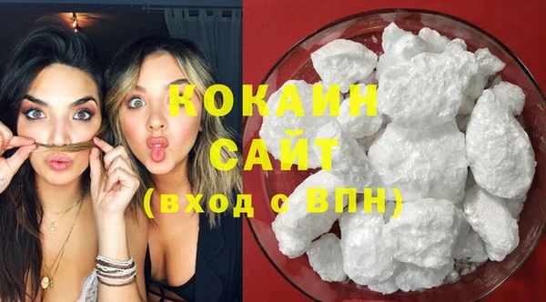 прущие грибы Богданович