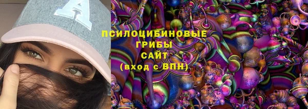 2c-b Богородск