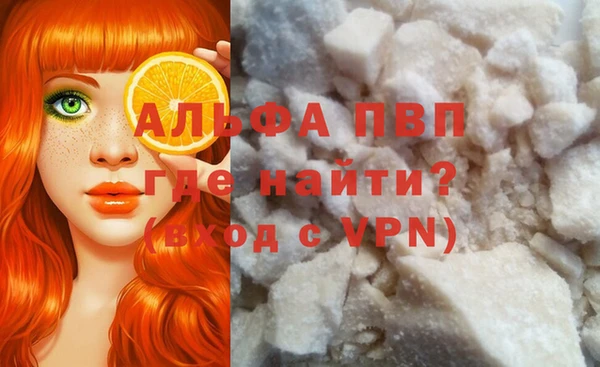 прущие грибы Богданович