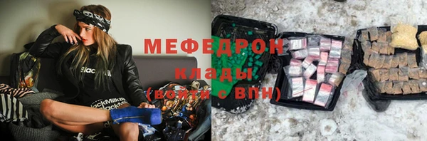 прущие грибы Богданович